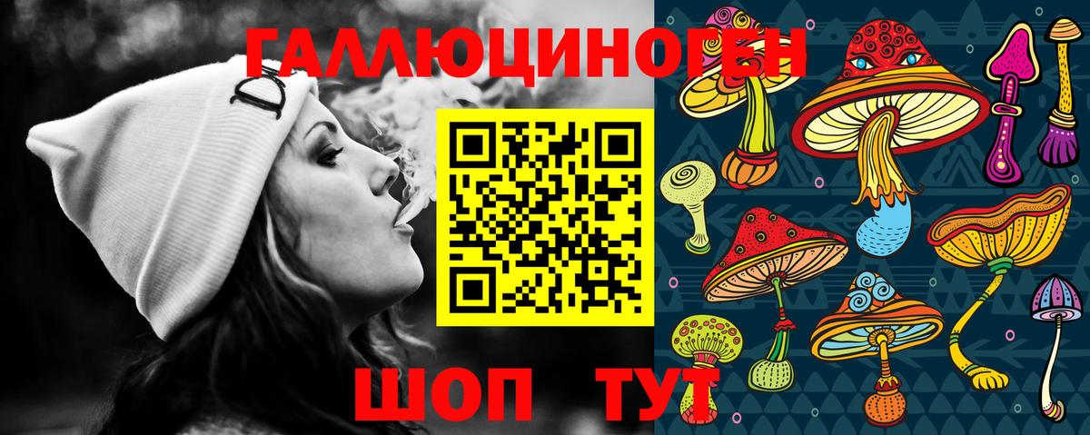 Галлюциногенные грибы Psilocybine cubensis Мичуринск