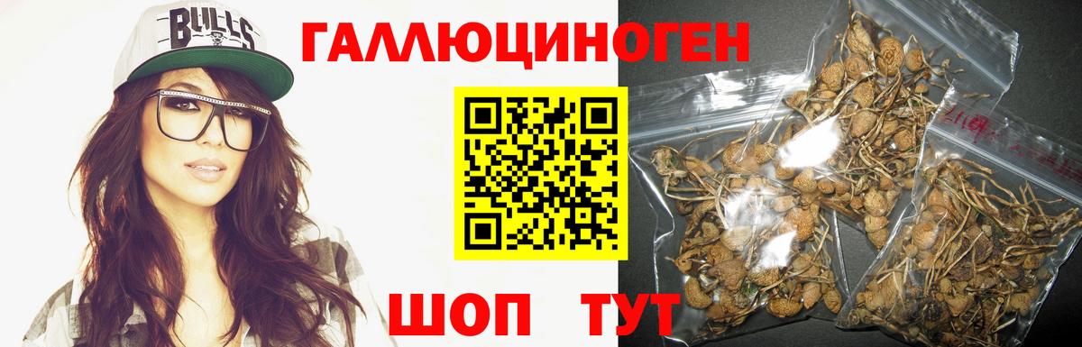 Мичуринск  где купить наркоту  Вход с VPN  Псилоцибиновые грибы мицелий 